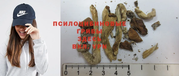 мяу мяу мука Абдулино
