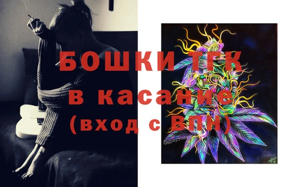 прущие грибы Алексеевка